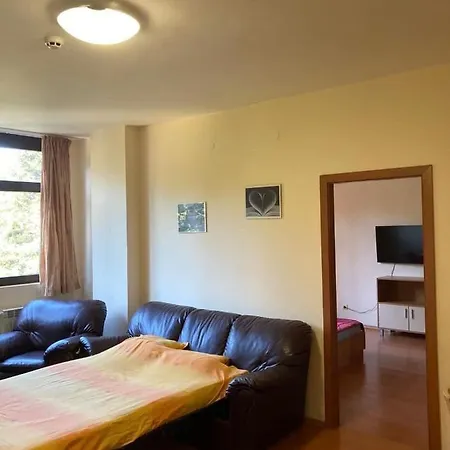 Flora 613