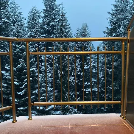 Flora 613 Borovets